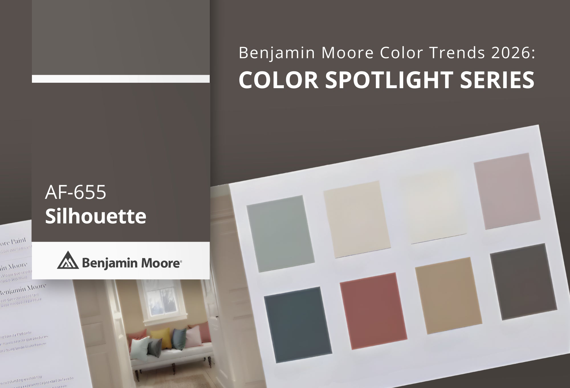 Benjamin Moore Color Trends Color Spotlight Series - Silhouette