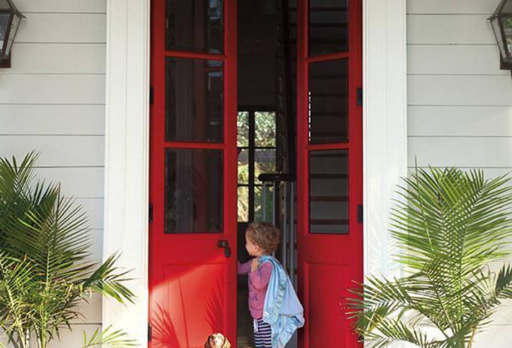 FENG SHUI: ATTRACT POSITIVITY BY PAINTING YOUR FRONT DOOR