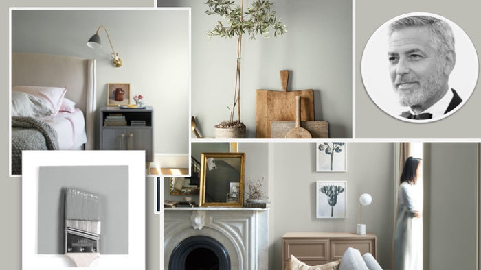 Who Doesn’t Love a Silver Fox? Color of the Year 2019