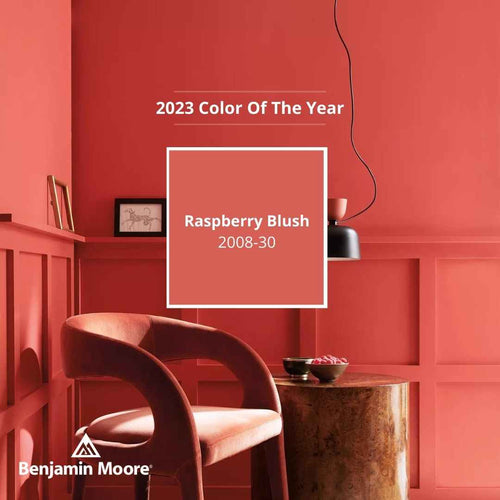 2008-30 Raspberry Blush Color of the Year 2023