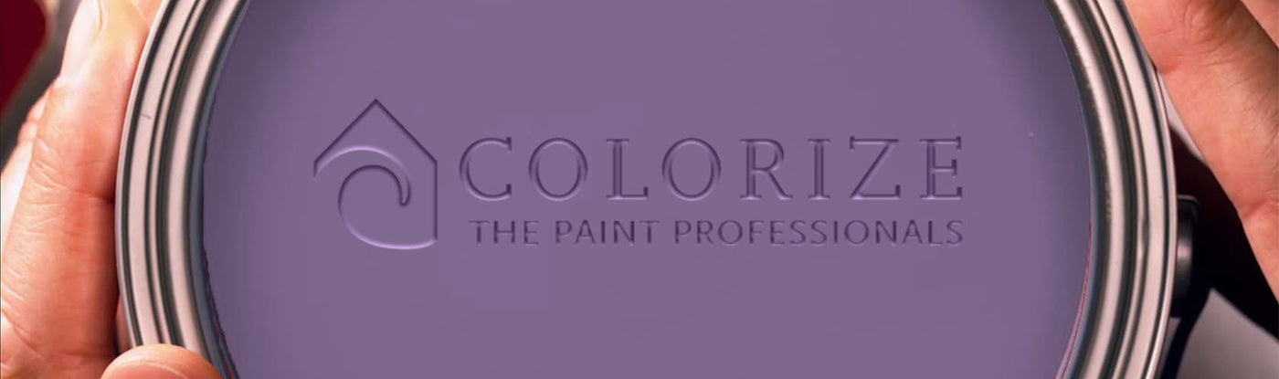 Colorize Paint Meet the New York Team | Colorize - Colorize Inc.