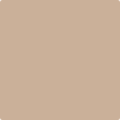 Benjamin Moore Color 1082 Cream Soda