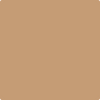 Benjamin Moore Color 1090 Butternut Squash