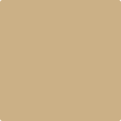 Benjamin Moore Color 1096 Bridgewater Tan