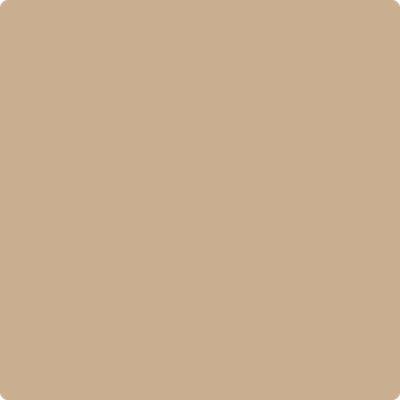 Benjamin Moore Color 1123 Palm Desert Sand