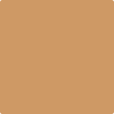 Benjamin Moore Color 1146 Harvest Bronze