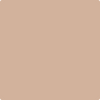 Benjamin Moore Color 1159 Deer Field