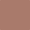 Benjamin Moore Color 1182 Drenched Sienna