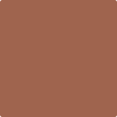 Benjamin Moore Color 1196 Burnt Sienna