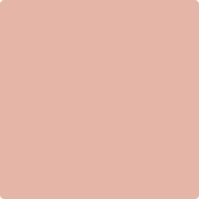 Benjamin Moore Color 1199 Peach Mousse