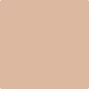Benjamin Moore Color 1206 Outer Banks