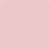 Benjamin Moore Color 1276 Petunia Pink