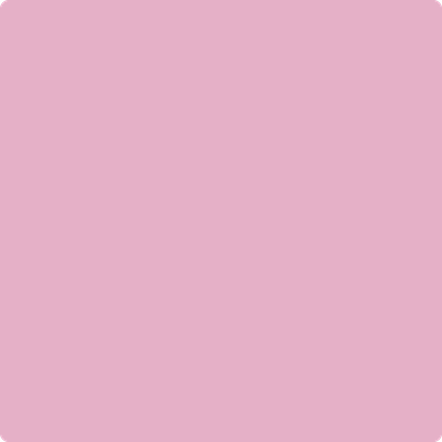 Benjamin Moore Color 1354 Wild Heart