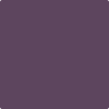 Benjamin Moore Color 1368 Purple Rain