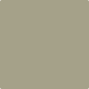 Benjamin Moore Color 1503 Texas Sage