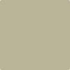 Benjamin Moore Color 1517 Mosaic Tile