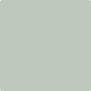 Benjamin Moore Color 1570 Gray Wisp