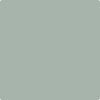 Benjamin Moore Color 1572 Raindance