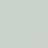 Benjamin Moore Color 1577 Arctic Gray