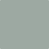 Benjamin Moore Color 1579 Greyhound