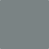 Benjamin Moore Color 1588 Gray Pinstripe