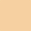 Benjamin Moore Color 165 Glowing Apricot