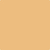 Benjamin Moore Color 166 Orange Ice