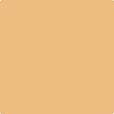 Benjamin Moore Color 166 Orange Ice