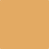 Benjamin Moore Color 167 Old Gold