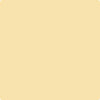 Benjamin Moore Color 170 Traditional Yellow