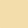 Benjamin Moore Color 178 Golden Lab