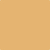 Benjamin Moore Color 188 Eye Of the Tiger