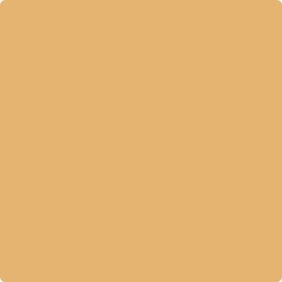 Benjamin Moore Color 188 Eye Of the Tiger