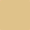 Benjamin Moore Color 193 Dijon