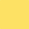 2021-40 Yellow Highlighter