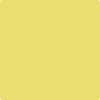 2024-40 Yellow Finch