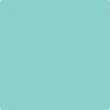 2046-50 Scuba Green