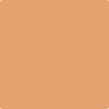 2166-40 Soft Pumpkin Wet & Dry Color Sample