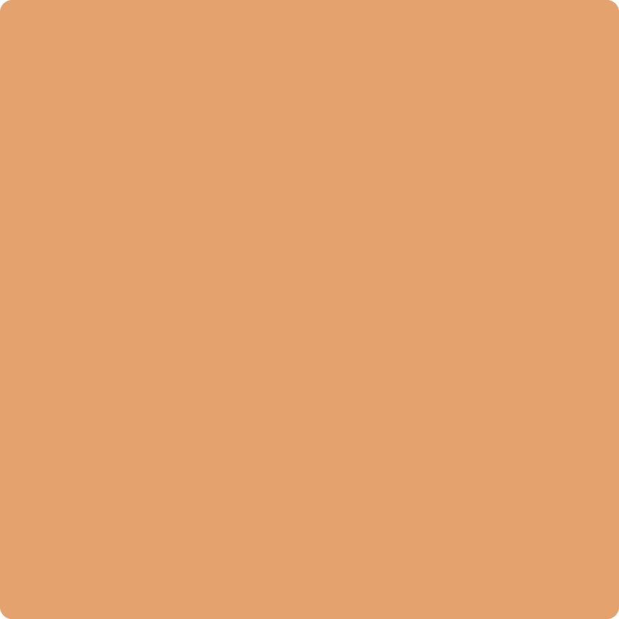 2166-40 Soft Pumpkin Wet & Dry Color Sample