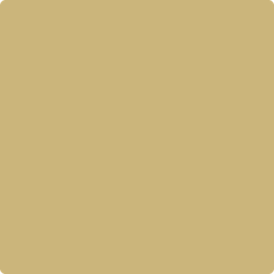 Benjamin Moore Color 256 Westwood Tan