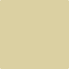 Benjamin Moore Color 263 Spring Morning