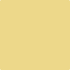 Benjamin Moore Color 291 Laguna Yellow