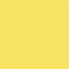 Benjamin Moore Color 335 Delightful Yellow