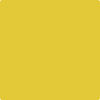 Benjamin Moore Color 357 Yellow Hibiscus