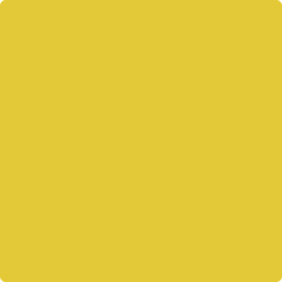 Benjamin Moore Color 357 Yellow Hibiscus