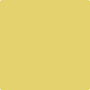 Benjamin Moore Color 370 Yellow Tone