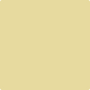 Benjamin Moore Color 375 Yellow Clover