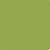 Benjamin Moore Color 406 Huntington Green