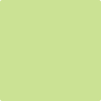 Benjamin Moore Color 411 Celtic Folklore