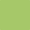 Benjamin Moore Color 412 Spring Hill Green